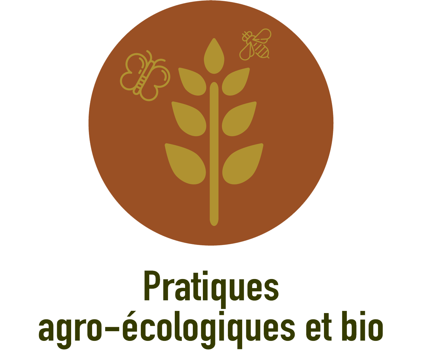 AGRO-ECOLOGIE ET AGRICULTURE BIO