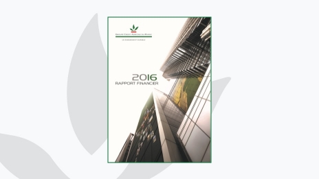 Rapport Financier 2016