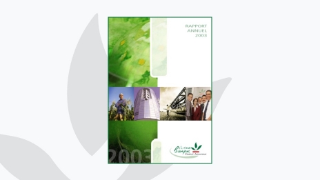Rapport annuel 2003