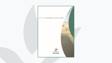 Rapport annuel 2005