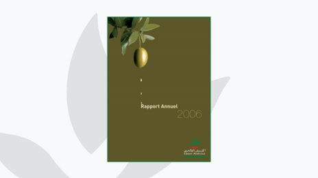 Rapport annuel 2006