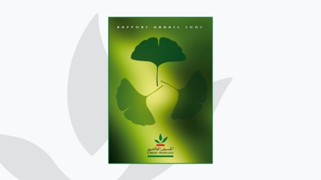 Rapport annuel 2007