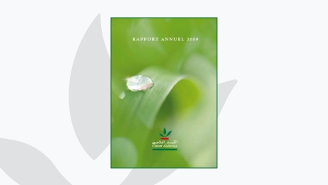 Rapport annuel 2009