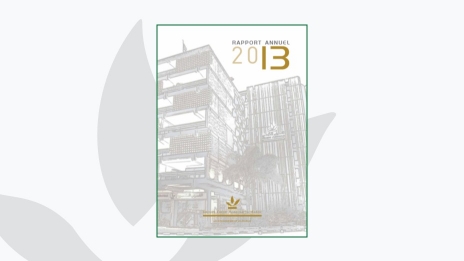 Rapport annuel 2013