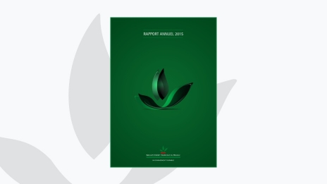 Rapport annuel 2015