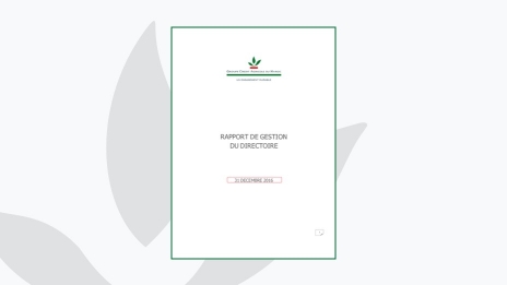 RAPPORT DE GESTION 2016