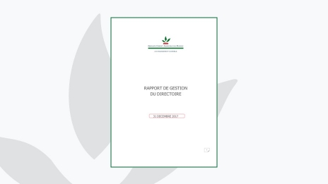 RAPPORT DE GESTION 2017
