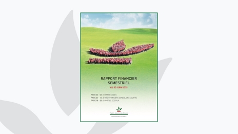RAPPORT FINANCIER 2019