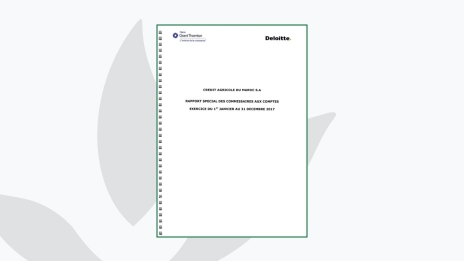 rapport spécial des CAC 2017