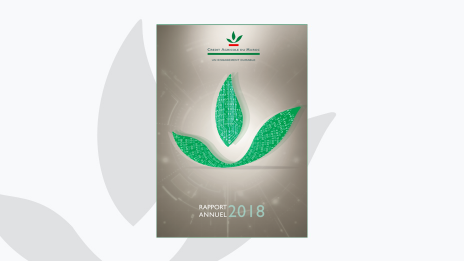 Rapport annuel 2018 img