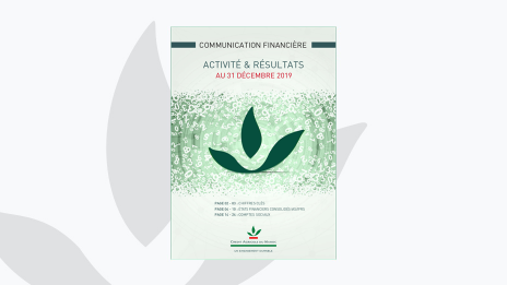 Comm Fin annuelle 2019 SNAP