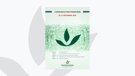 Communication Financière annuelle au 31 Décembre 2020