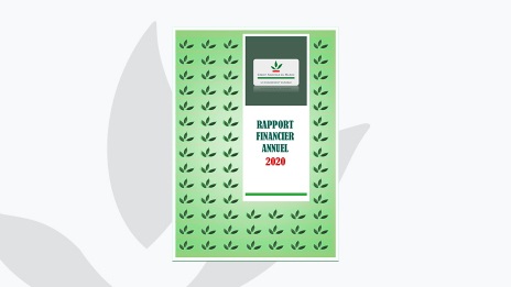 Rapport Financier Annuel 2020