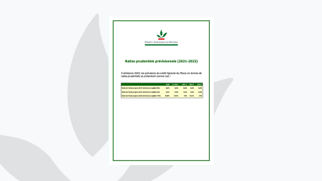 Ratios Prudentiels Prévisionnels