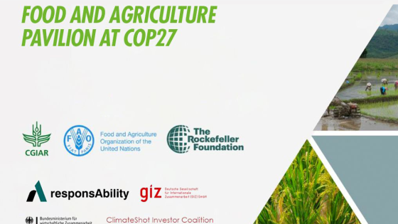 Retrouvez le Crédit Agricole du Maroc à la COP27 au pavillon de la FAO le 09 novembre 2022